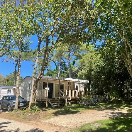 L'ecureuil * Piriac-sur-Mer