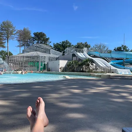 L'ecureuil * Piriac-sur-Mer