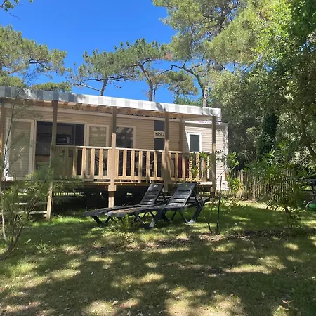 L'écureuil Piriac-sur-Mer