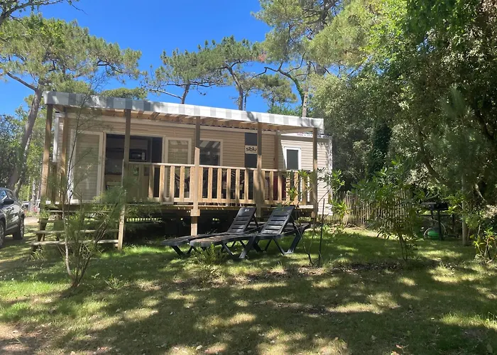 L'ecureuil Piriac-sur-Mer